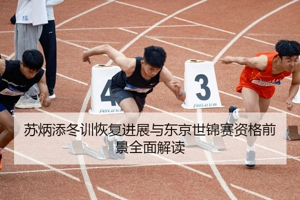 苏炳添冬训恢复进展与东京世锦赛资格前景全面解读